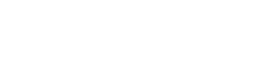 litigation financing DAO logo white